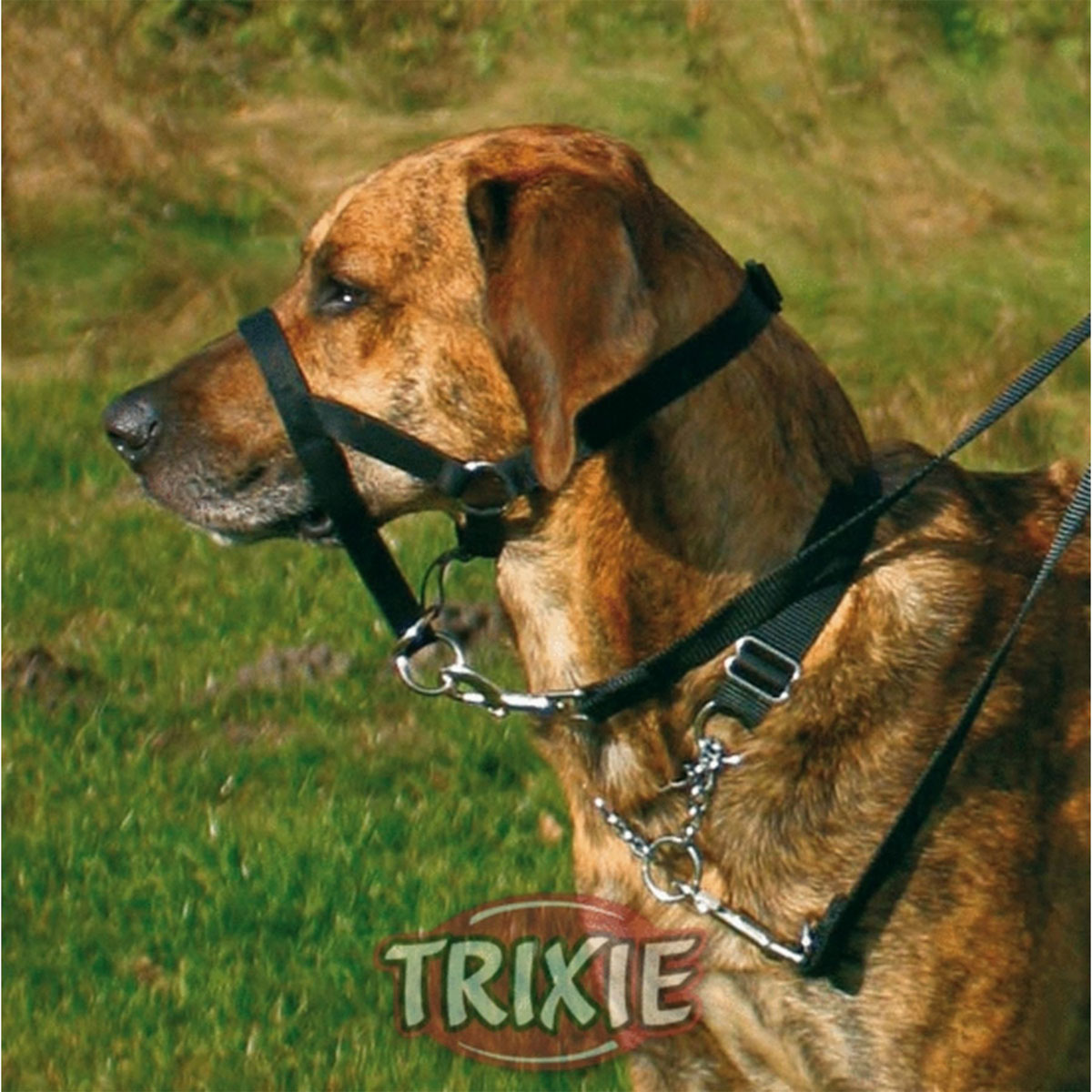 Trixie  Top Trainer Ausbildungsgeschirr L 31 cm | 436010