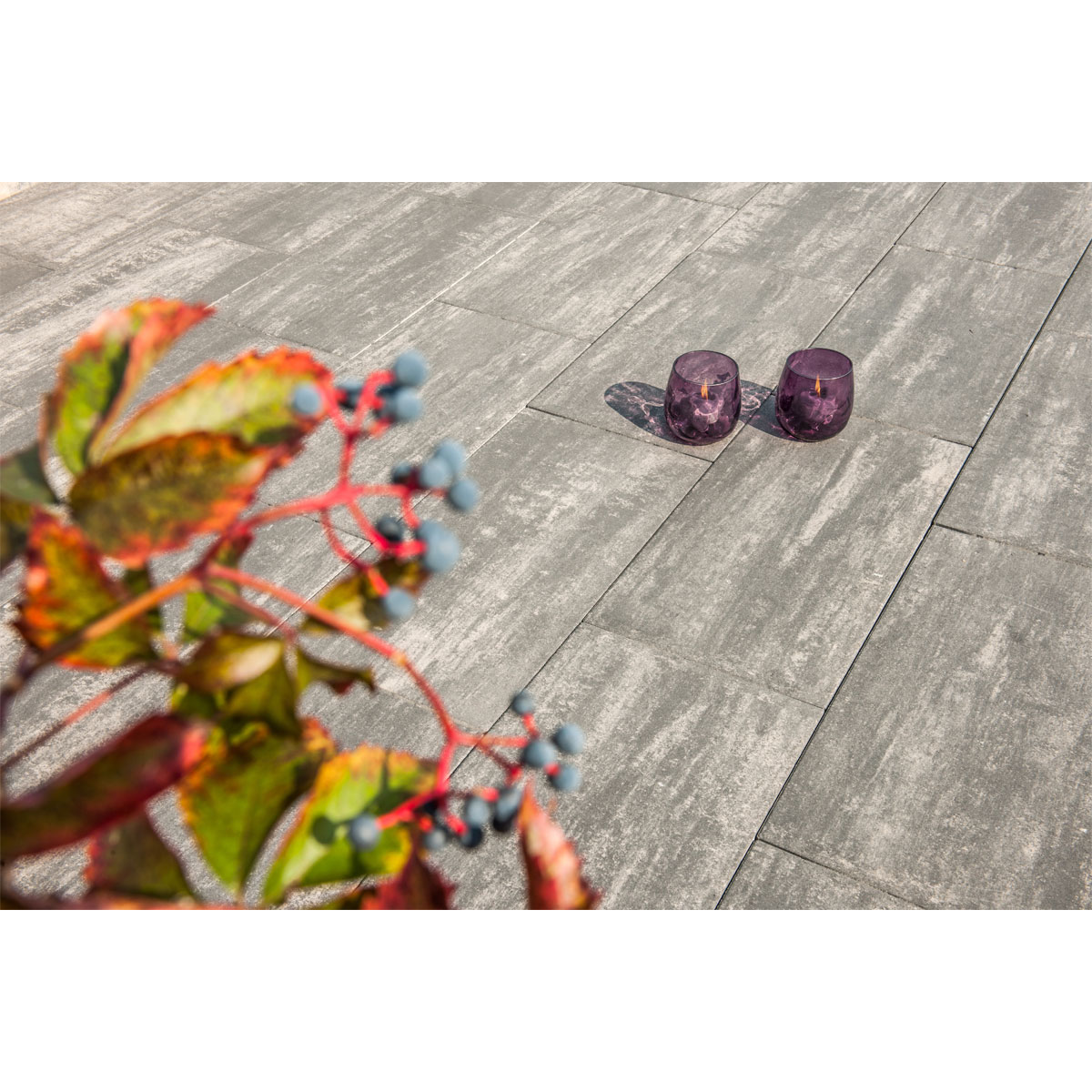 Diephaus  Terrassenplatte No 1 Parasol Quarzit 80 x 40 x 5 cm | 506349