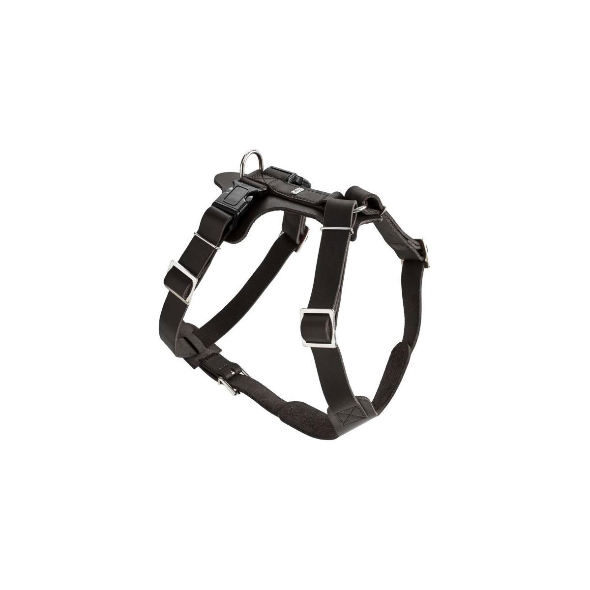 Hunter  Y-Geschirr Aalborg schwarz XS/36-50 cm | 524495