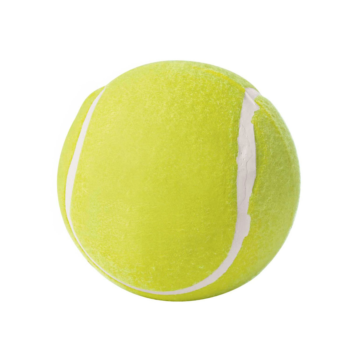 Hunter  Dog Tennisball Big 13 cm | 862854